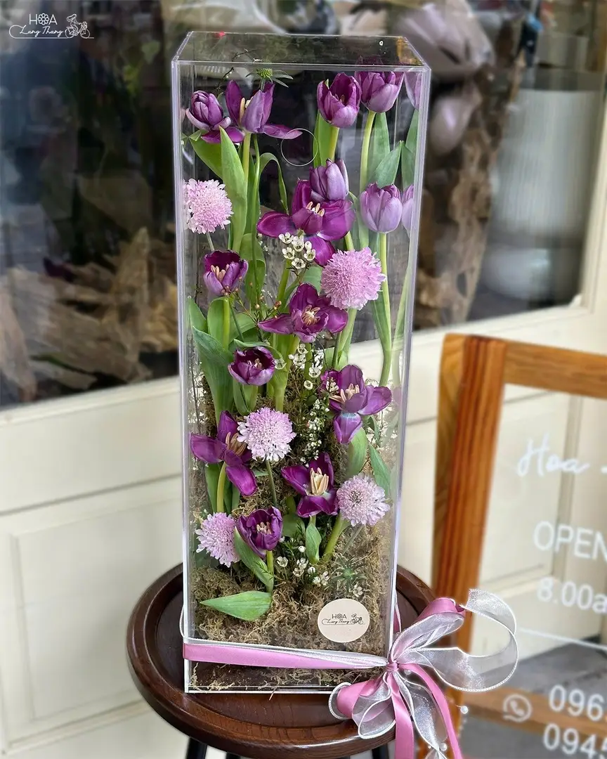 Hộp hoa tulip tím Hà Lan mica – Purple Reverie