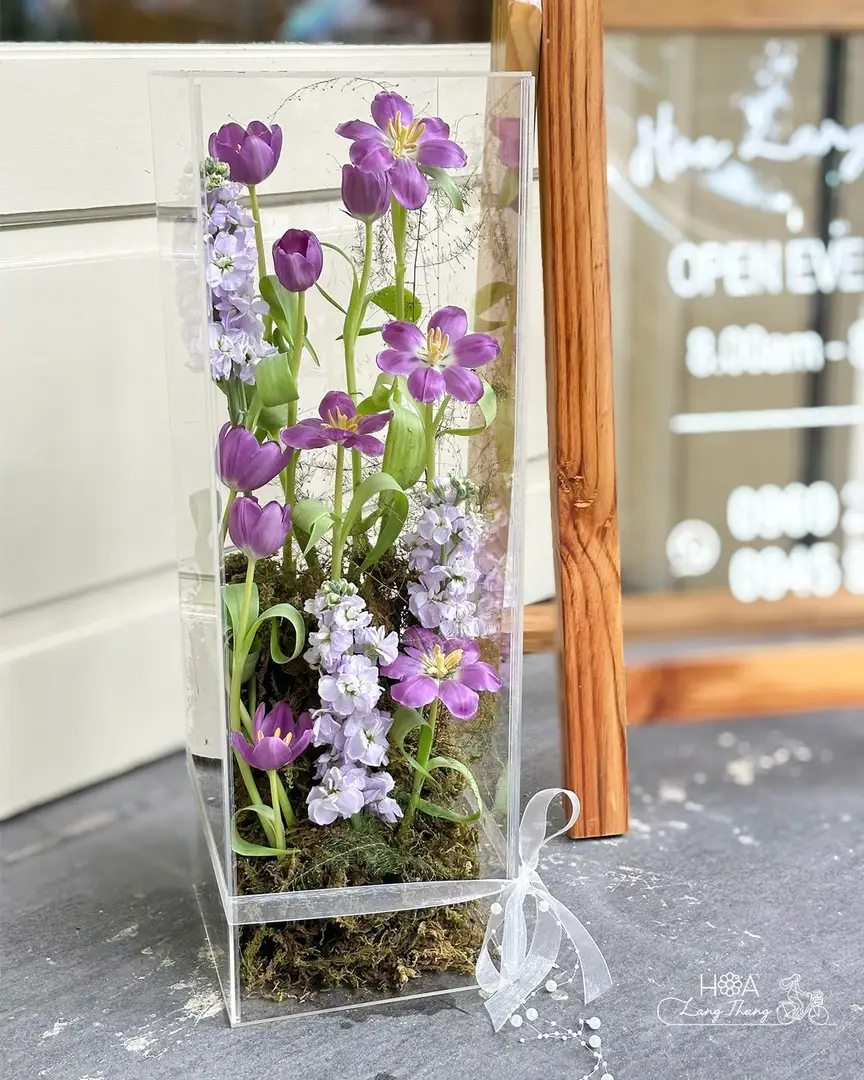 Hộp hoa tulip tím Hà Lan mica - Purple Reverie