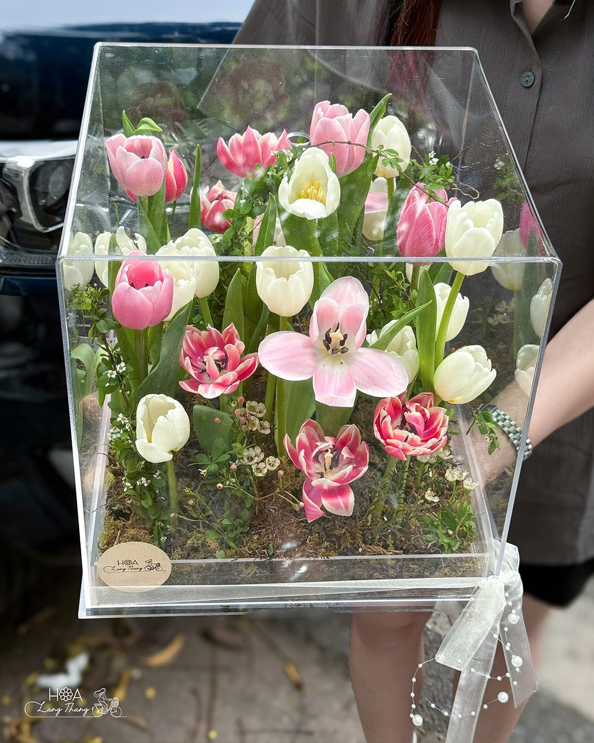 Box vali vuông tulip mix