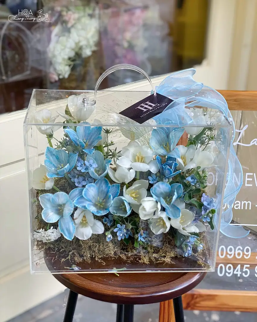 Hộp hoa tulip xanh mix trắng mica - Azure Whisper