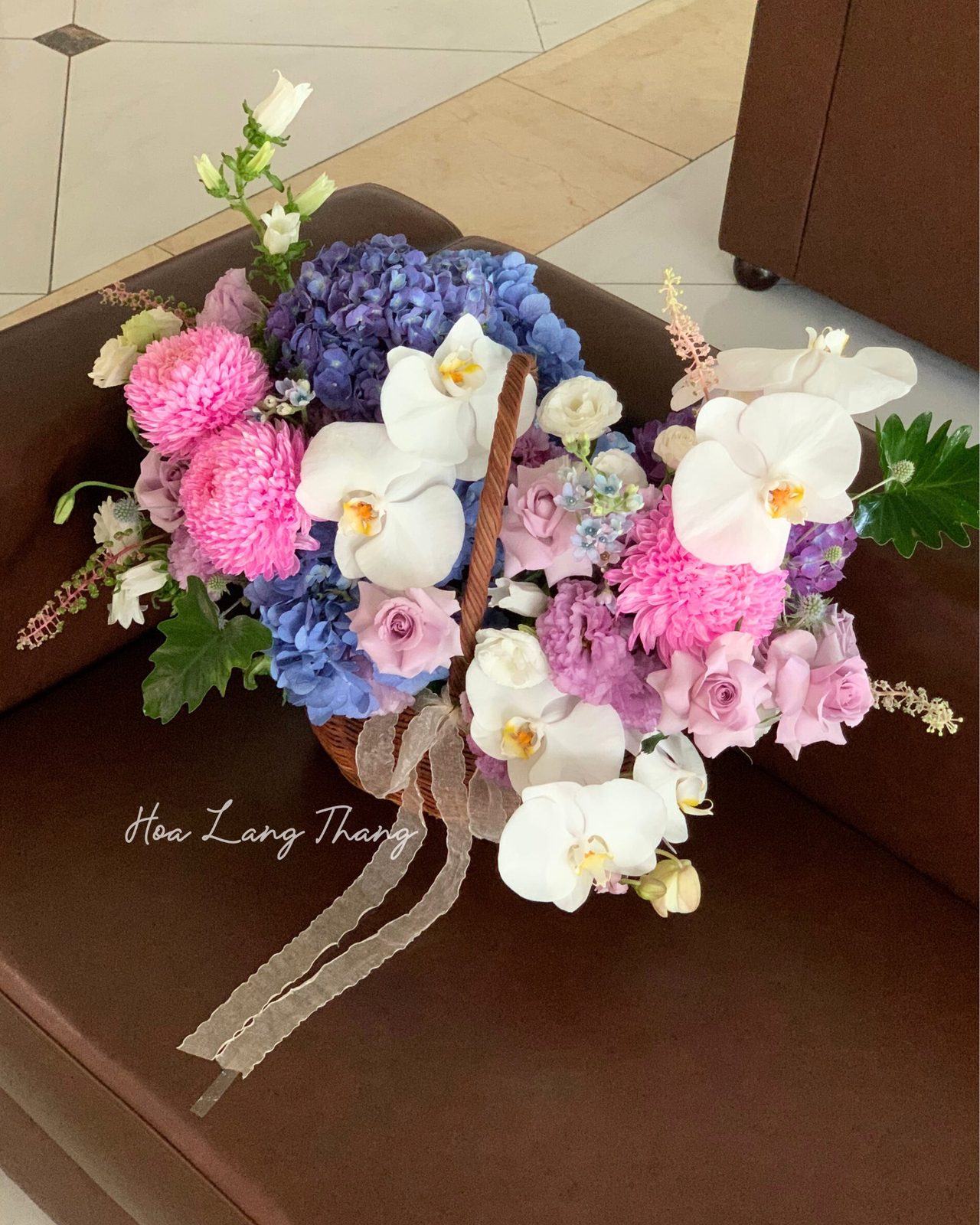 Lẵng hoa cẩm tú cầu mix lan hồ điệp - Orchid Harmony
