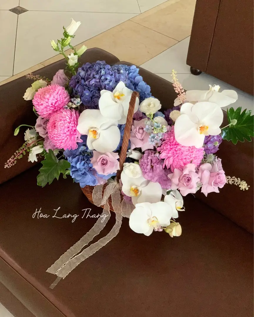 Lẵng hoa cẩm tú cầu mix lan hồ điệp - Orchid Harmony