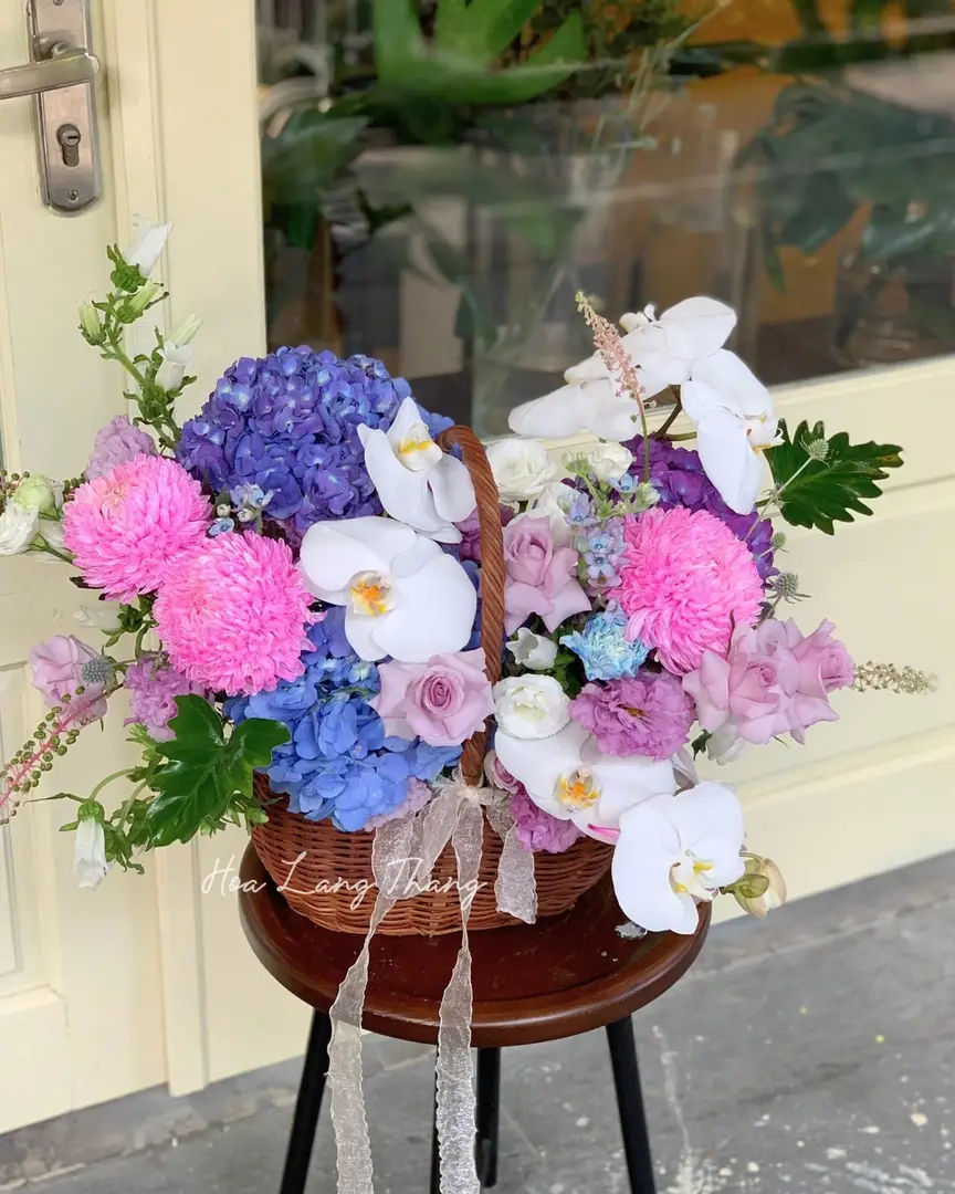 Lẵng hoa cẩm tú cầu mix lan hồ điệp - Orchid Harmony — góc khác