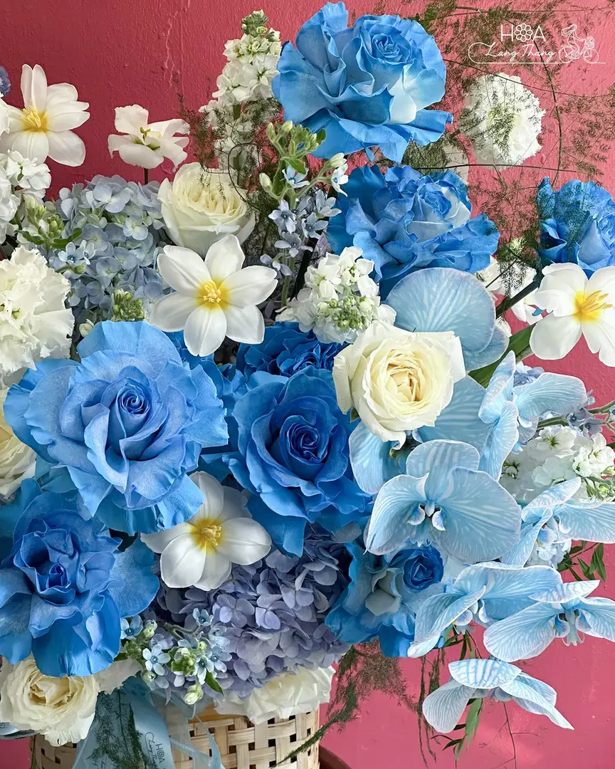 Lẵng hoa hồng Ecuador mix hoa lá phụ - Ecuador Elegance — góc khác