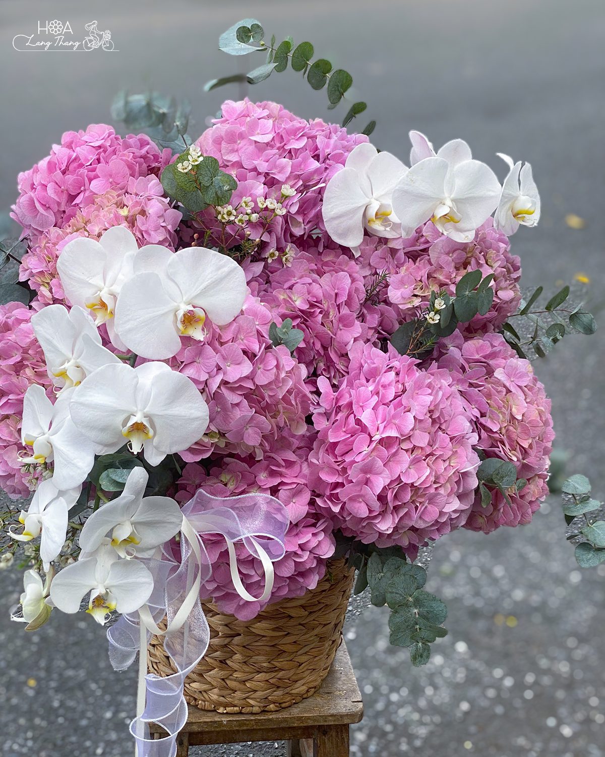 Lẵng hoa cẩm tú cầu mix lan hồ điệp - Lavender Orchid Elegance