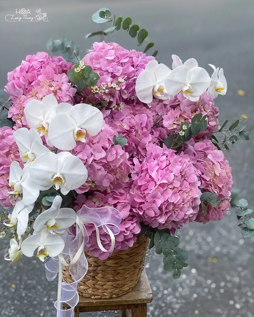 Lẵng hoa cẩm tú cầu mix lan hồ điệp - Lavender Orchid Elegance