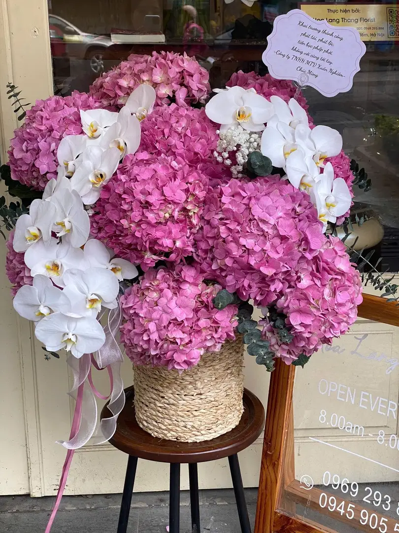 Lẵng hoa cẩm tú cầu mix lan hồ điệp - Lavender Orchid Elegance - Hoa Lang Thang
