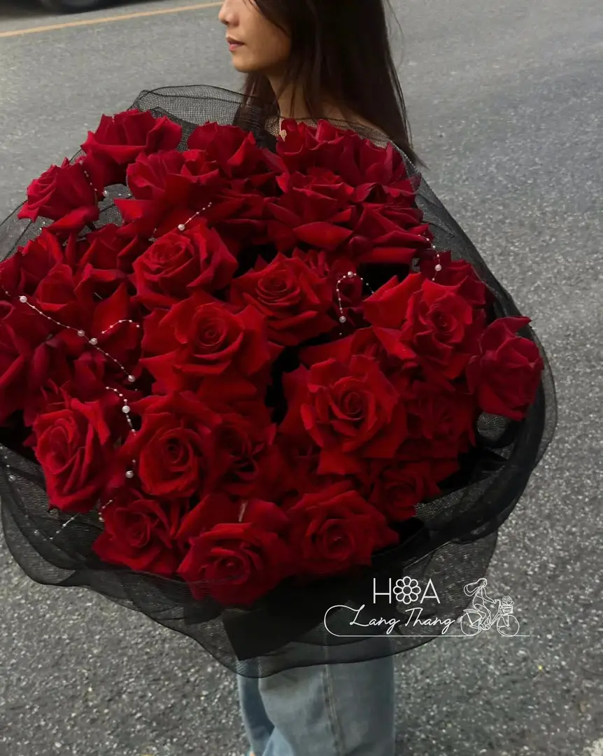 Rote Ecuador-Rosen mit weißem Schleierkraut Strauß – Crimson Romance 3
