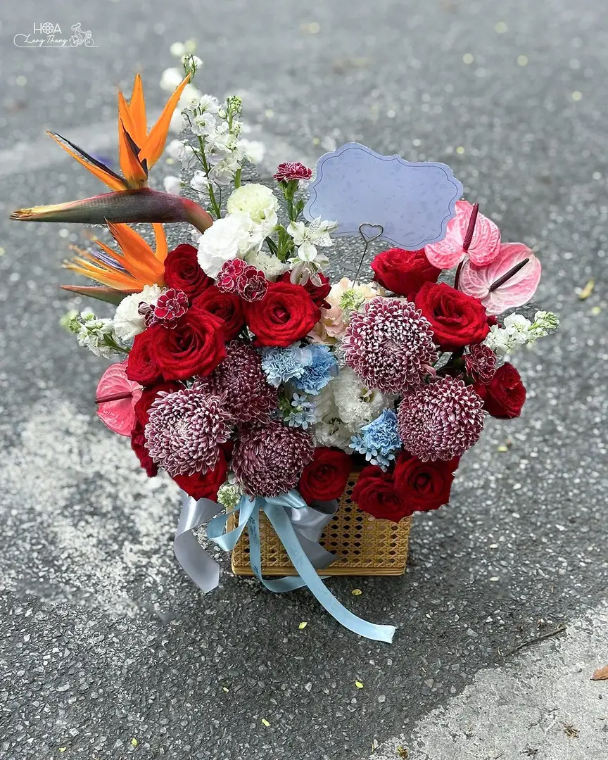 Lẵng hoa hồng đỏ mix thiên điểu - Crimson Elegance