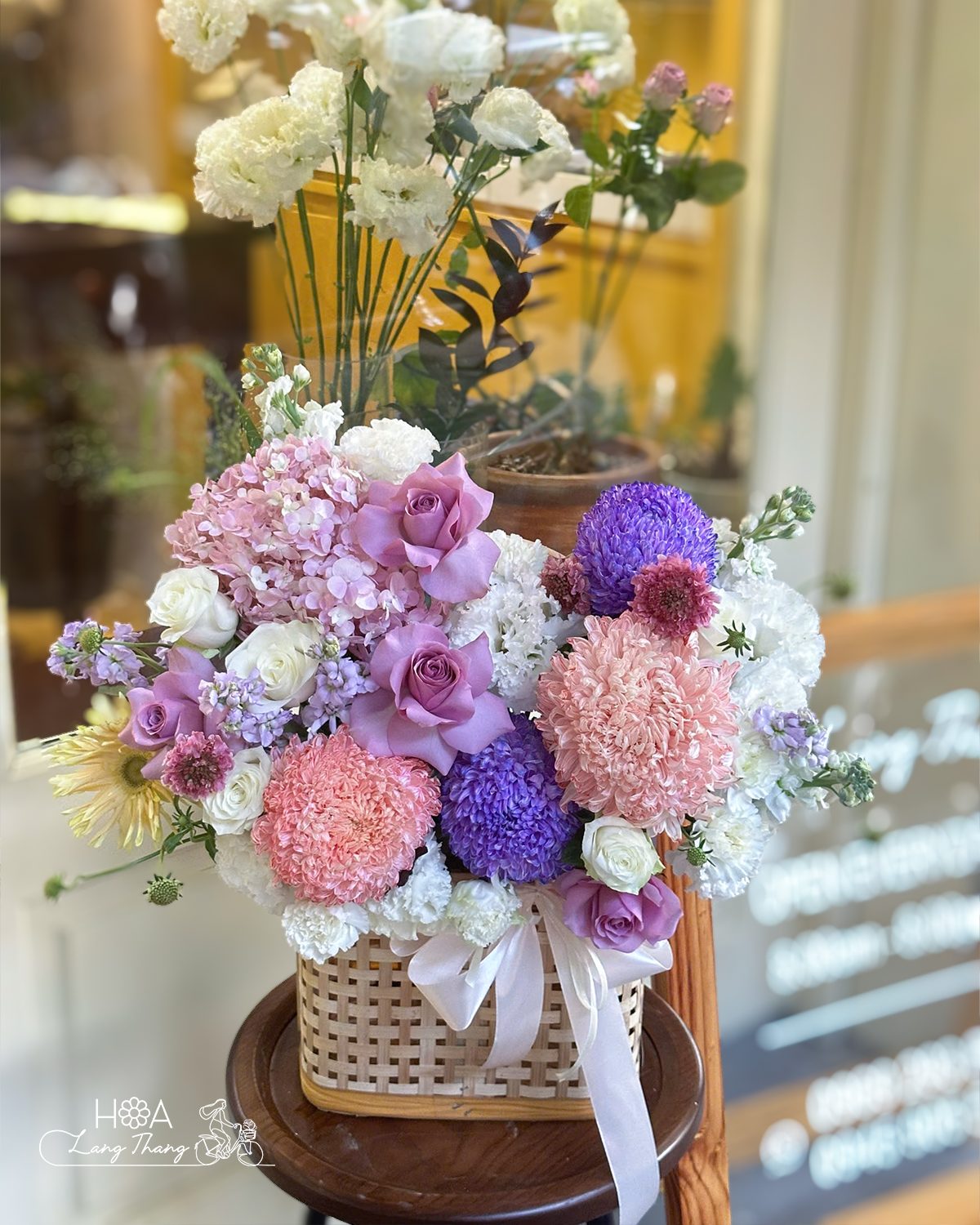 Lẵng hoa cẩm tú cầu mix nhập khẩu - Hydrangea Reverie