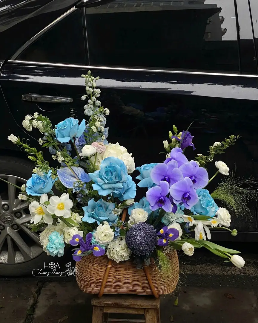Lẵng hoa hồng Ecuador mix lan hồ điệp - Orchid Elegance