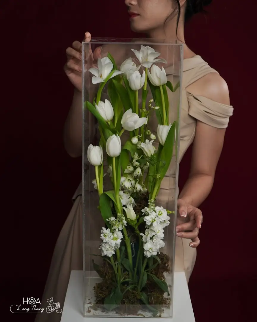 Hộp hoa tulip trắng mica - White Elegance