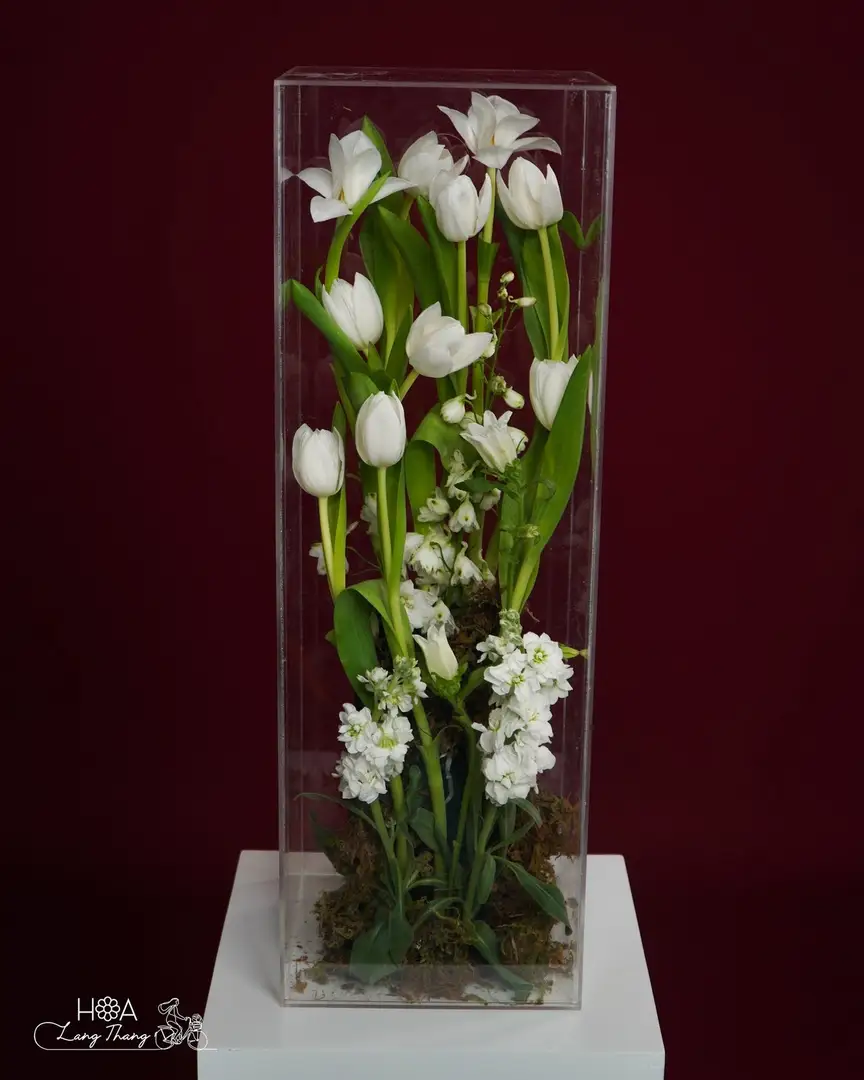 Hộp hoa tulip trắng mica - White Elegance — góc khác