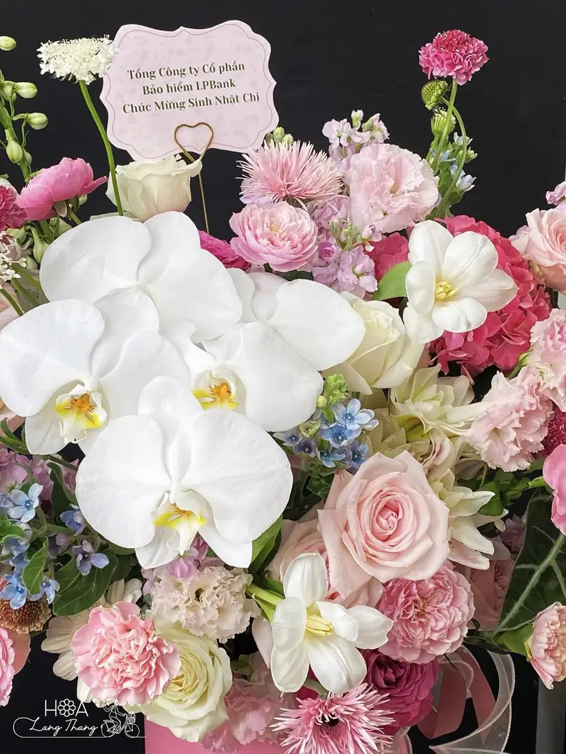 Lẵng hoa hồng mix cẩm tú cầu - Graceful Luxury