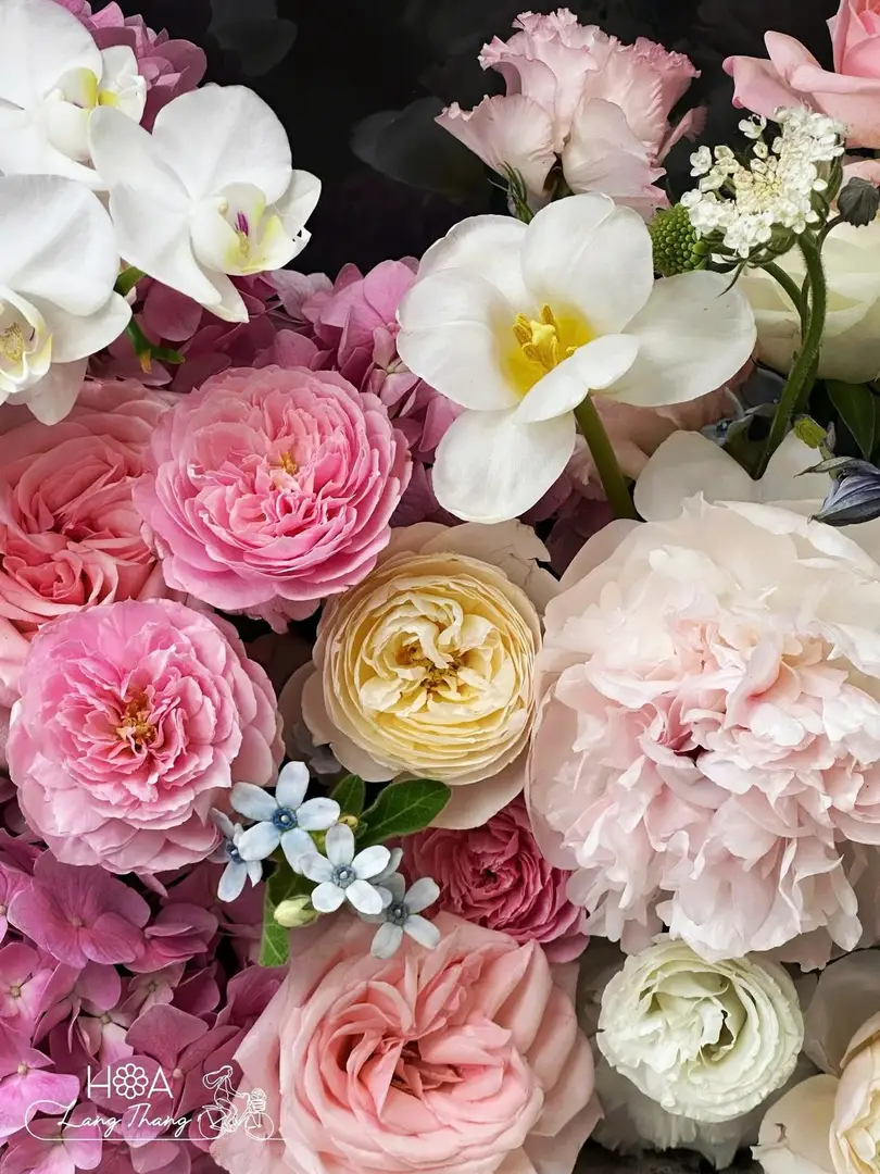 Lẵng hoa hồng mix cẩm tú cầu - Graceful Luxury - Hoa Lang Thang