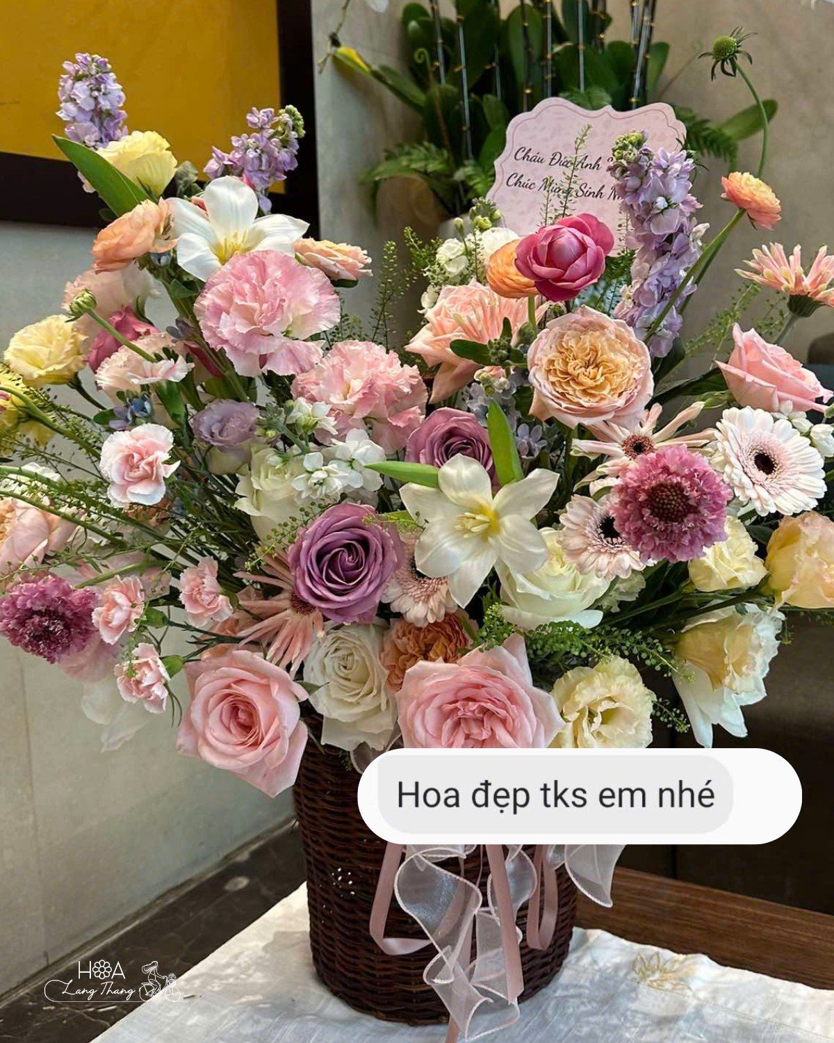 Lẵng hoa mix hồng lan cẩm tú cầu gỗ gardening - Whispered Elegance