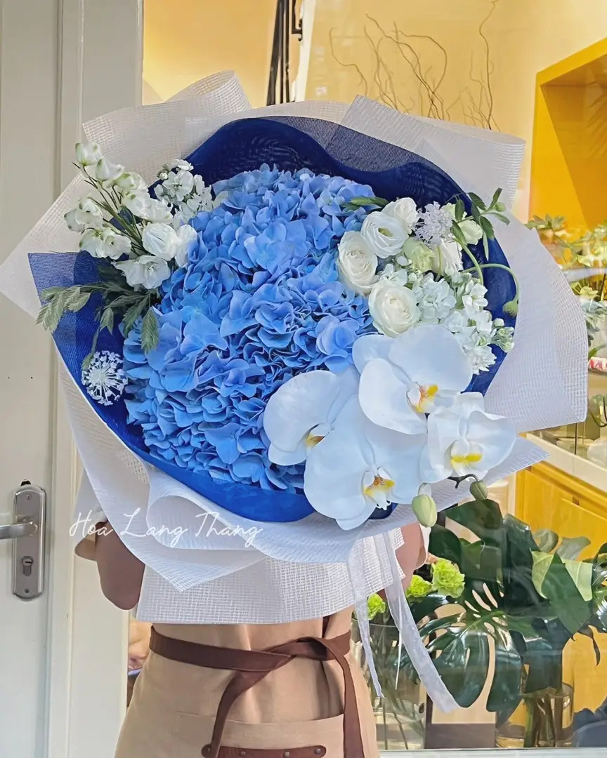 Bó hoa cẩm tú cầu size L - Hydrangea Elegance