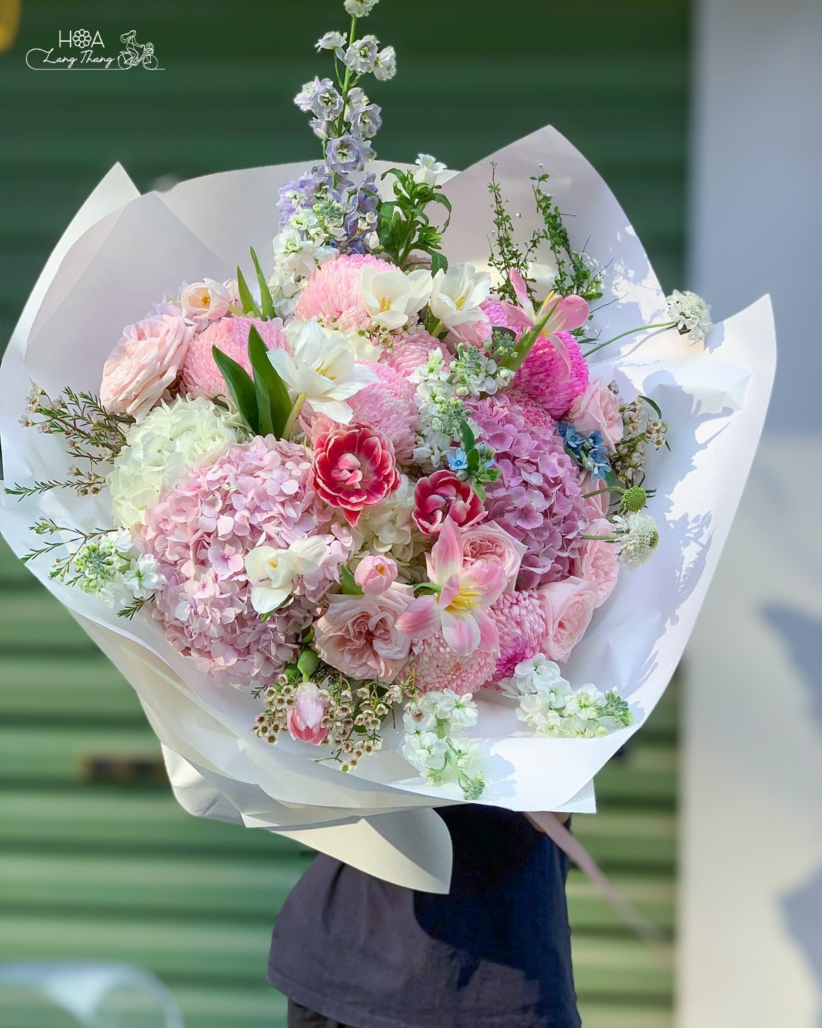 Bó hoa cẩm tú cầu mix nhập khẩu size lớn - Hydrangea Dream