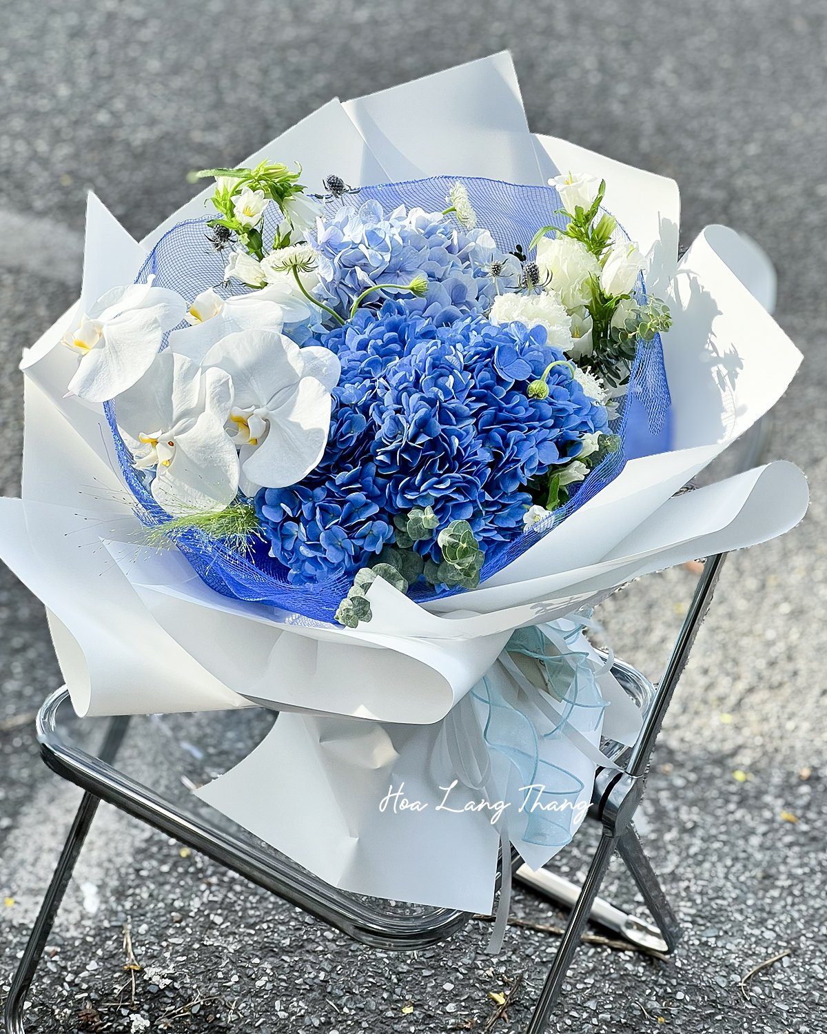 Bó hoa cẩm tú cầu mix - Hydrangea Harmony