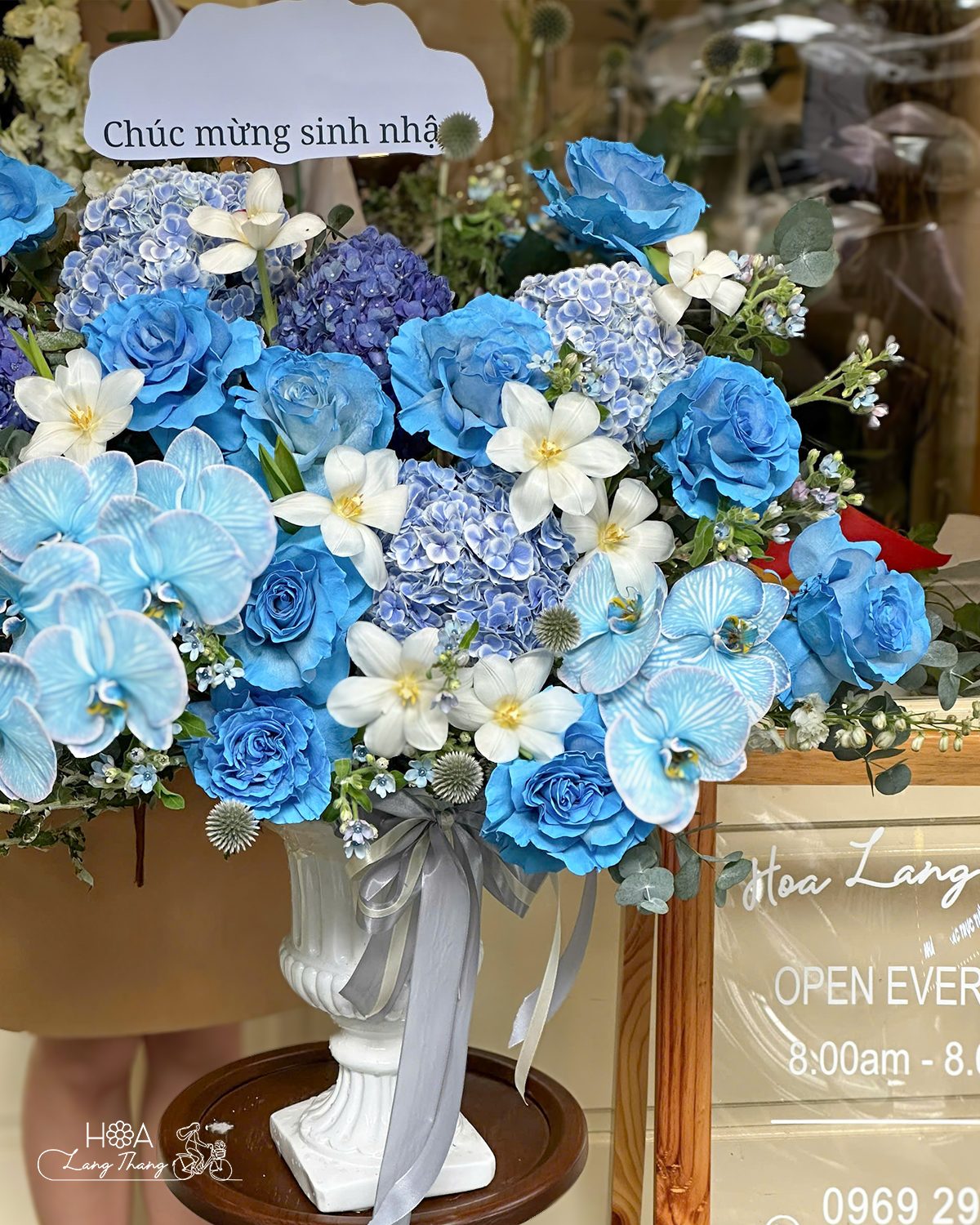 Bình hoa hồng Ecuador mix cẩm tú cầu lan - Eternal Elegance