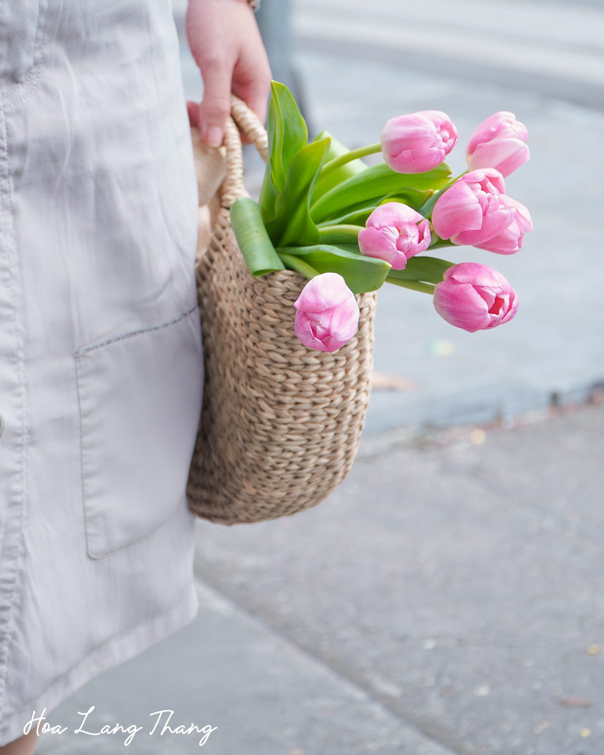 Lẵng hoa tulip Hà Lan gỗ gardening - Wooden Elegance