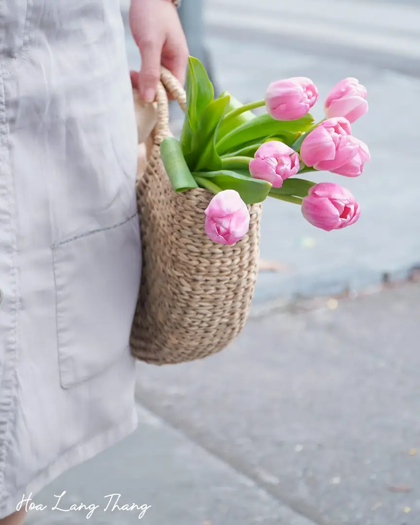 Lẵng hoa tulip Hà Lan gỗ gardening - Wooden Elegance