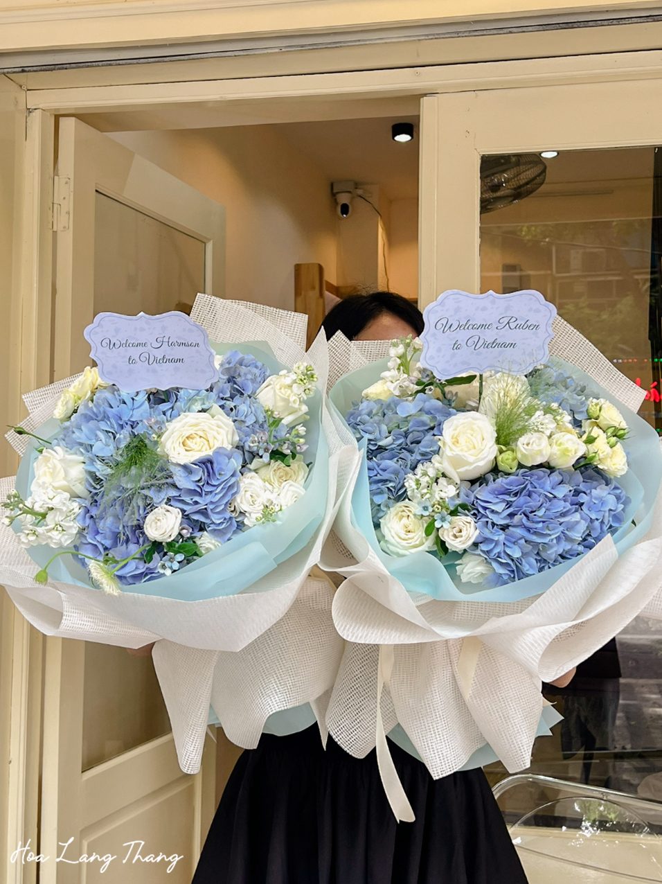 Bó hoa cẩm tú cầu mix - Hydrangea Reverie