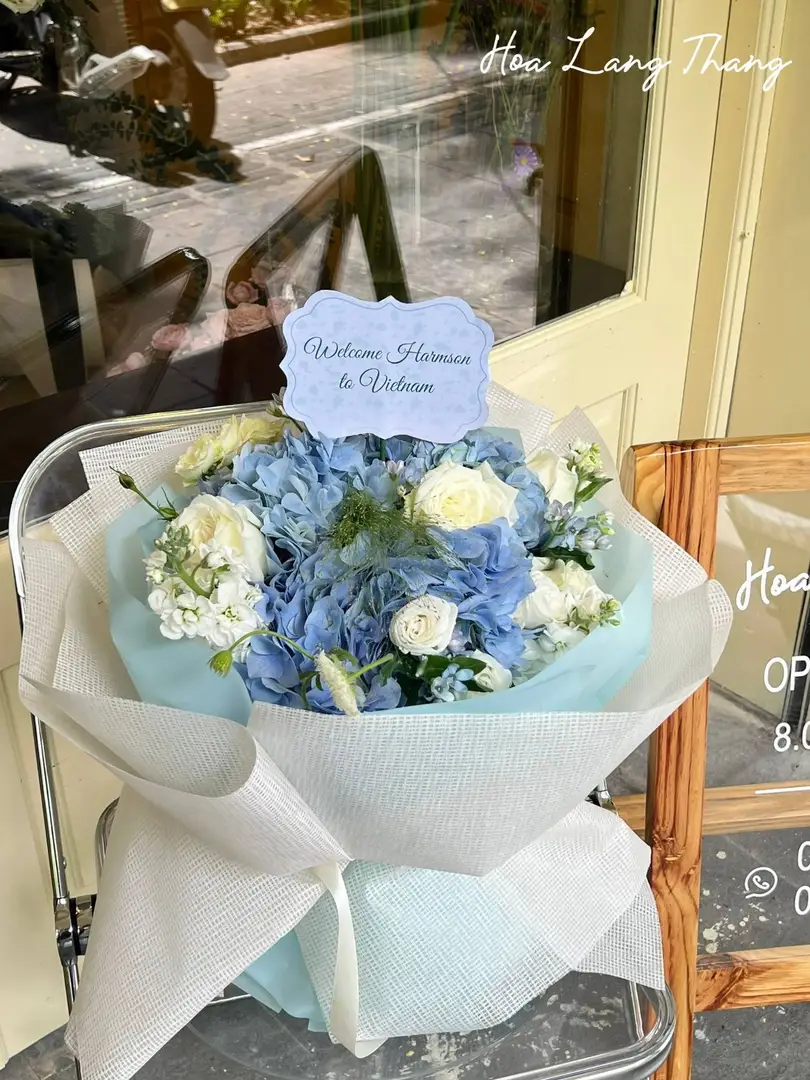 Bó hoa cẩm tú cầu mix - Hydrangea Reverie - Hoa Lang Thang
