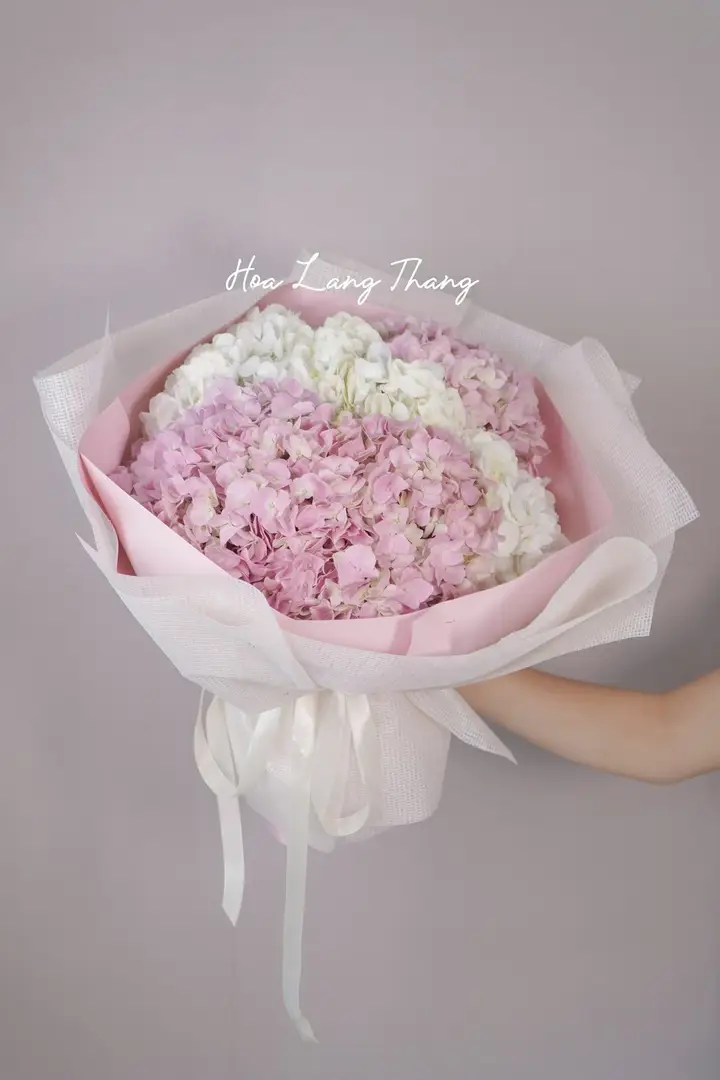 Bó hoa cẩm tú cầu hồng mix hồng - Gentle Blush