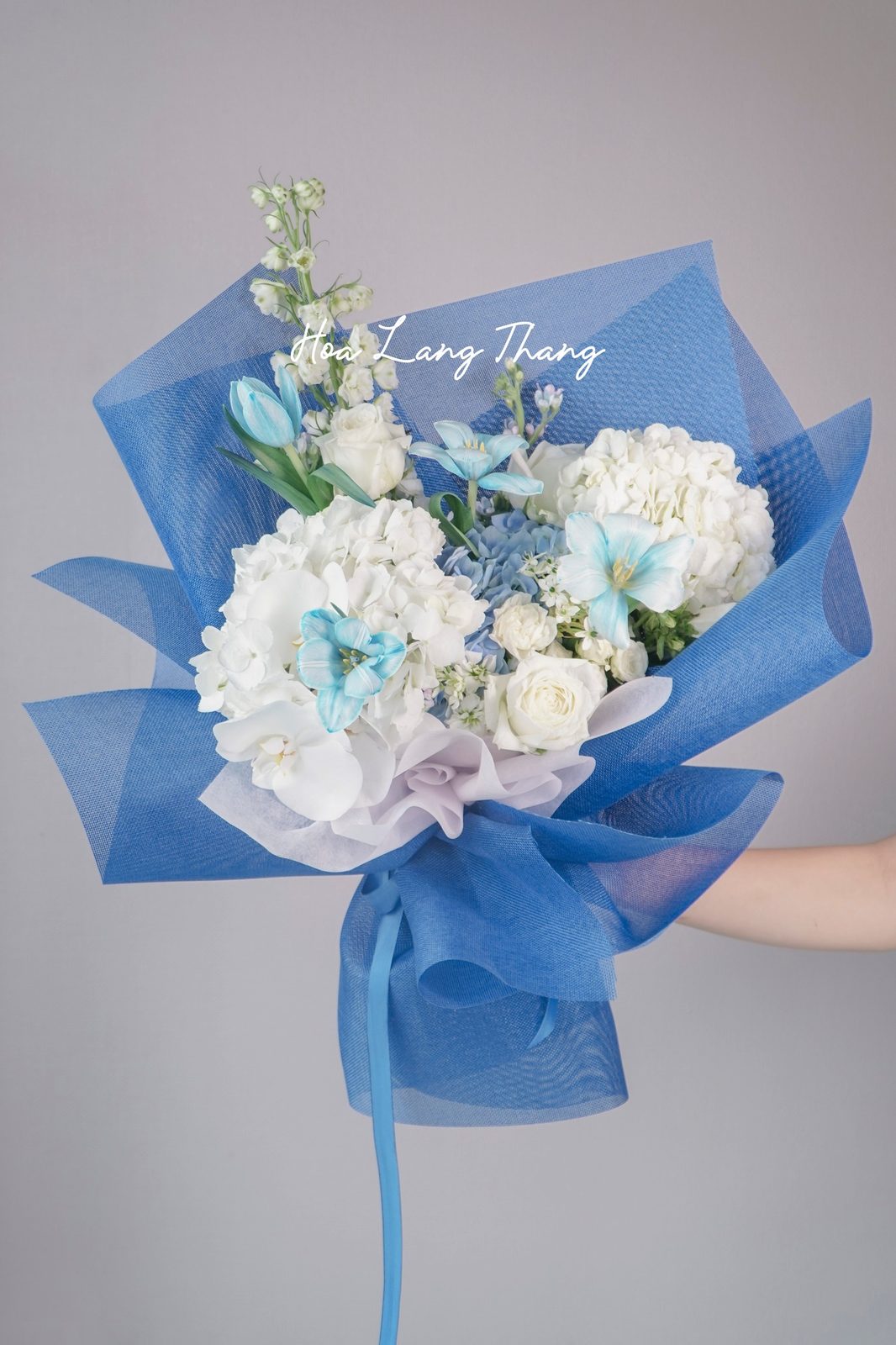 Bó hoa cẩm tú cầu trắng mix tulip xanh - Azure Whisper
