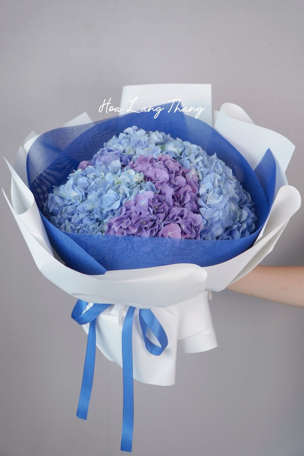 Bó hoa cẩm tú cầu xanh mix tím nhập khẩu - Lavender Reverie