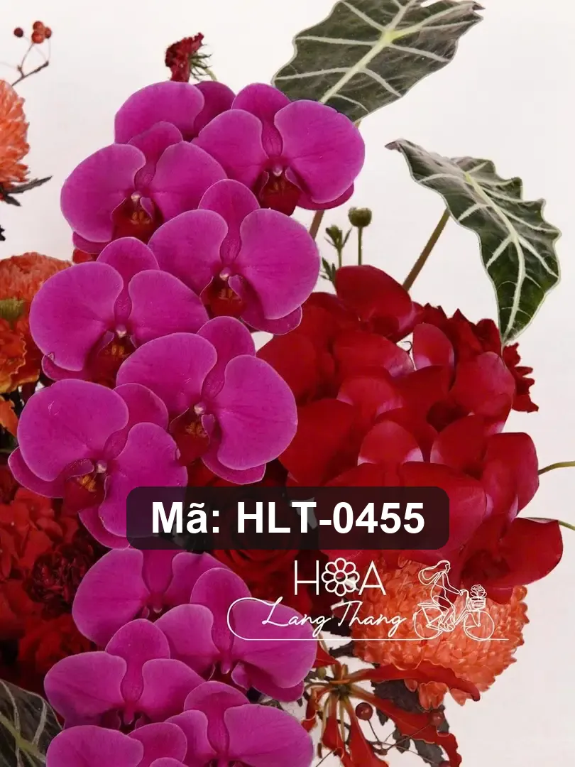 Bình hoa lan hồ điệp mix trang trí - Orchid Elegance - Thumbnail 3