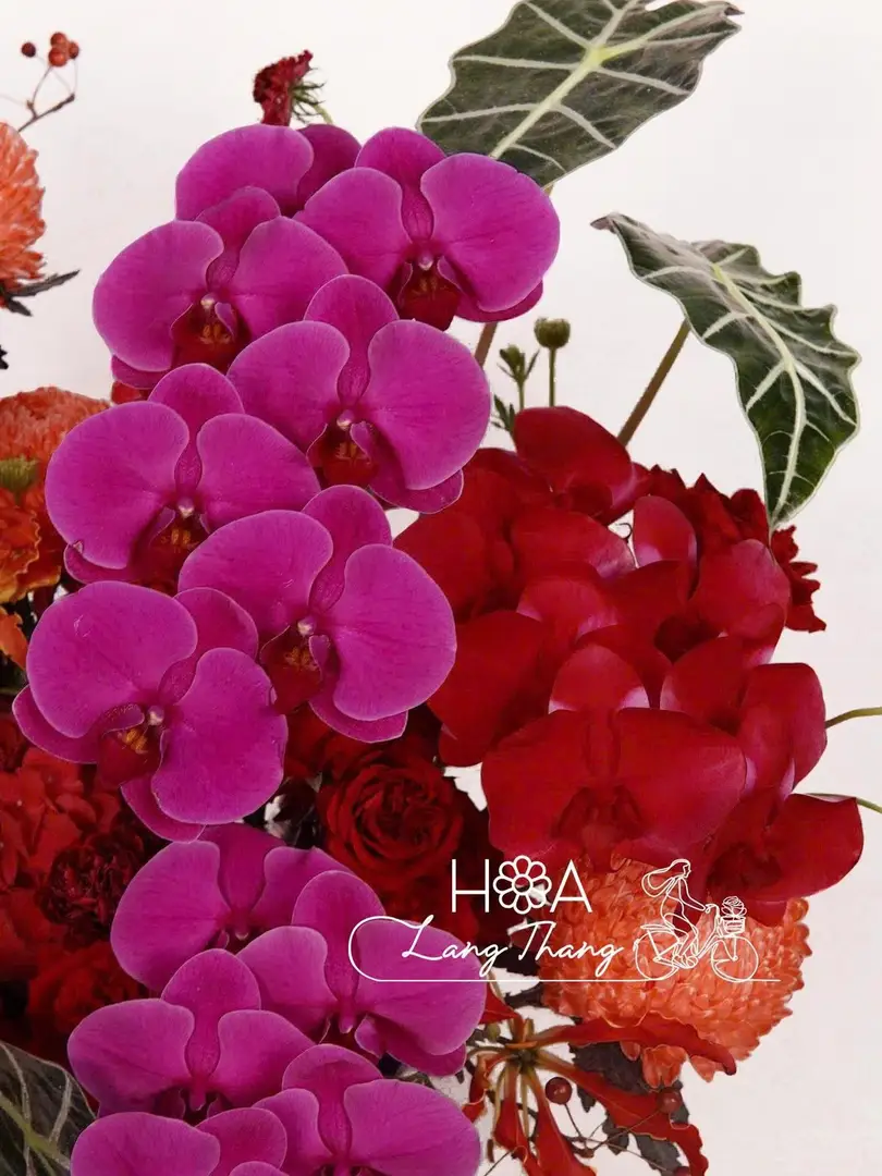 Bình hoa lan hồ điệp mix trang trí - Orchid Elegance - Hoa Lang Thang