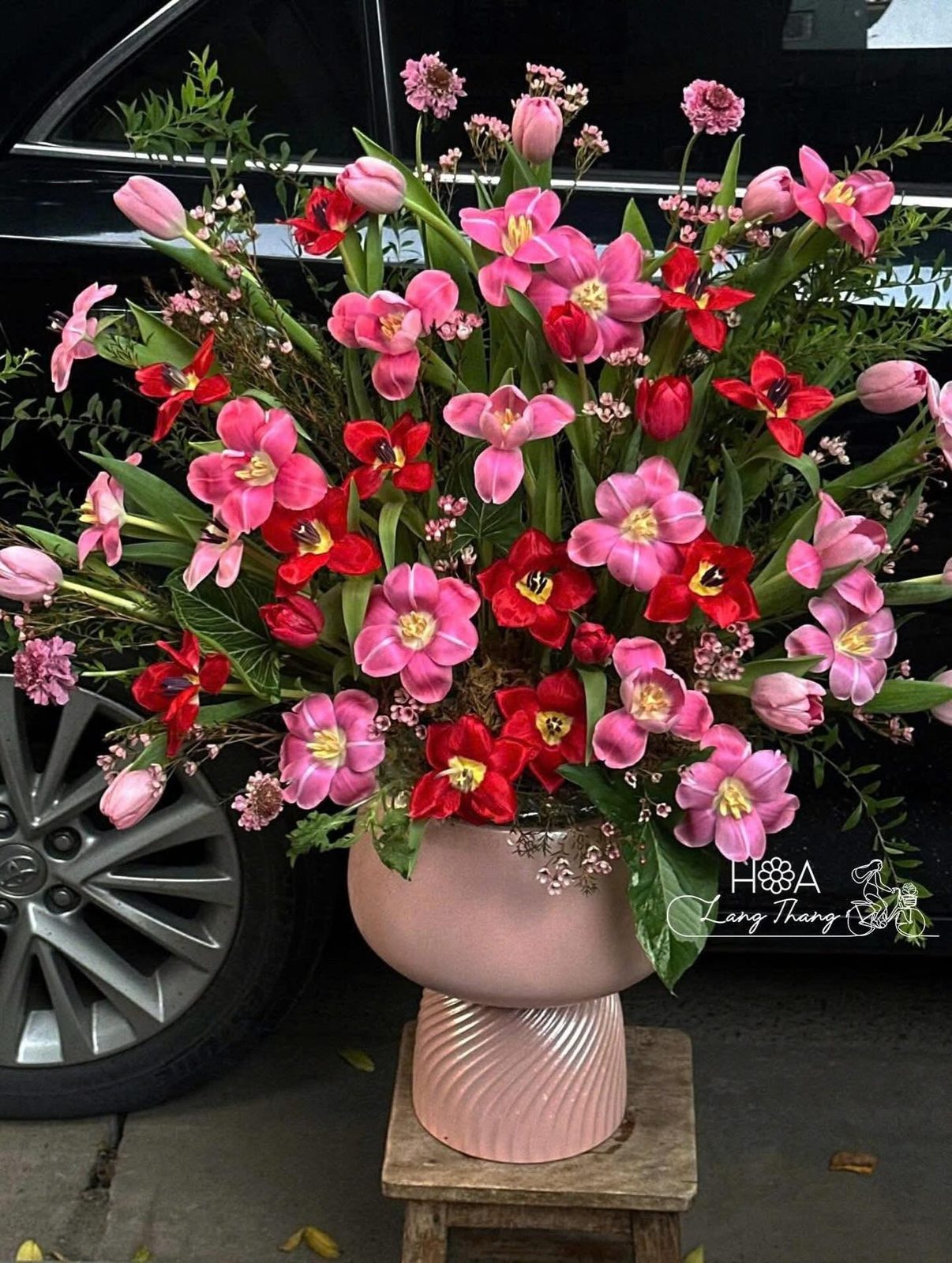 Bình hoa tulip hồng mix đỏ Hà Lan - Blush Romance