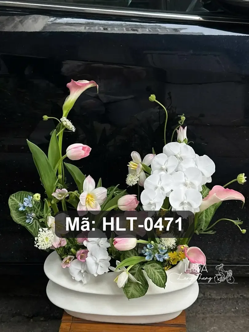 Bình hoa tulip mix lan hồ điệp - Elegance in Bloom