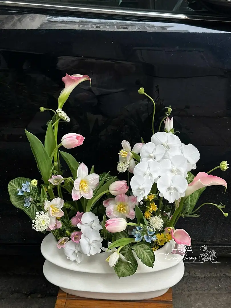 Bình hoa tulip mix lan hồ điệp - Elegance in Bloom