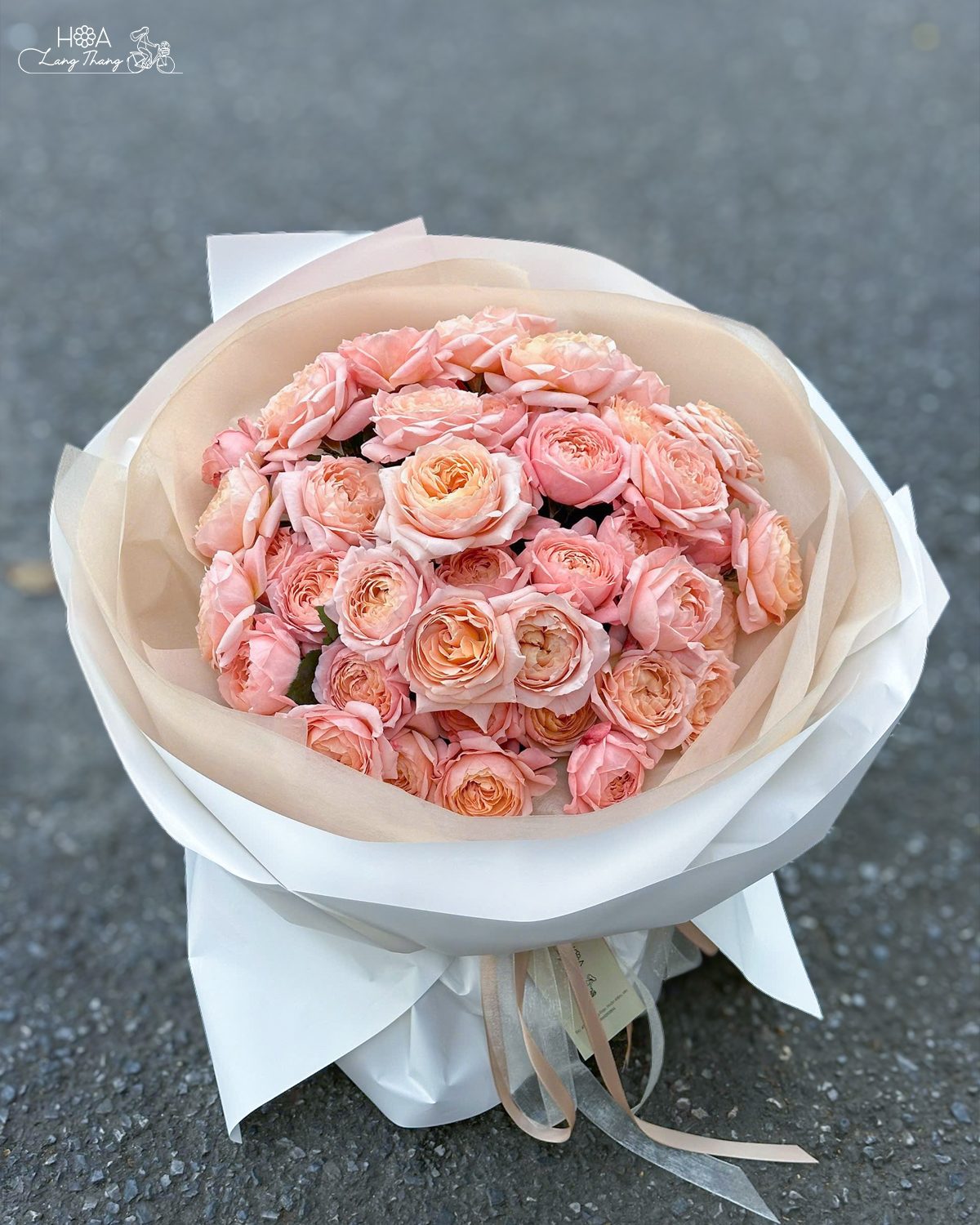 Bó hồng Pola nhập khẩu - Ecuador Rose Elegance