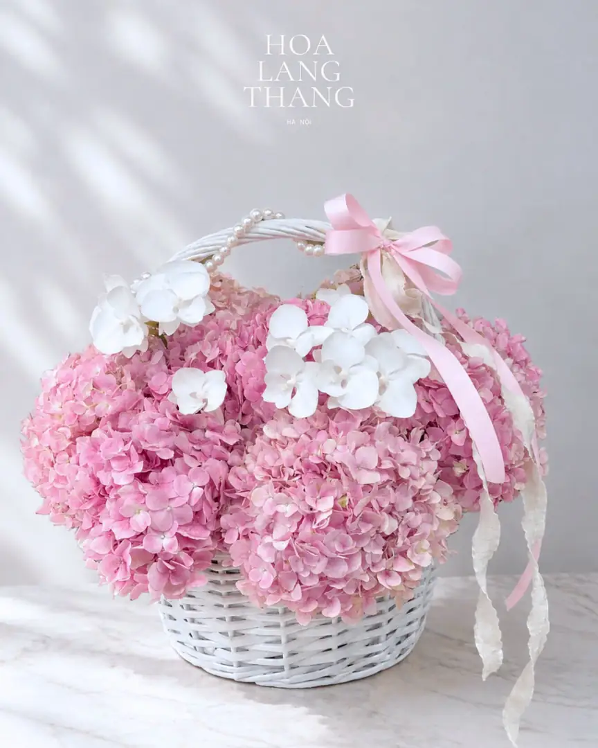 Giỏ cẩm tú cầu hồng lan trắng quai xách