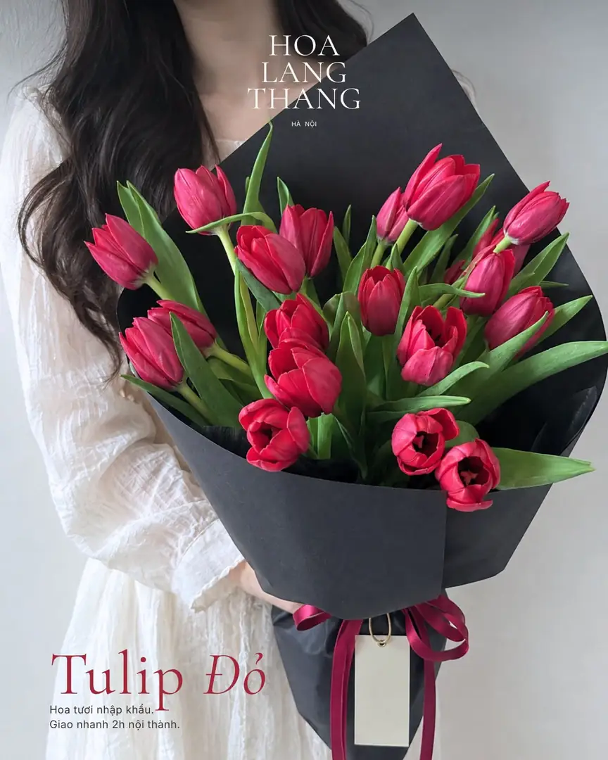 Bó Tulip Đỏ giấy đen