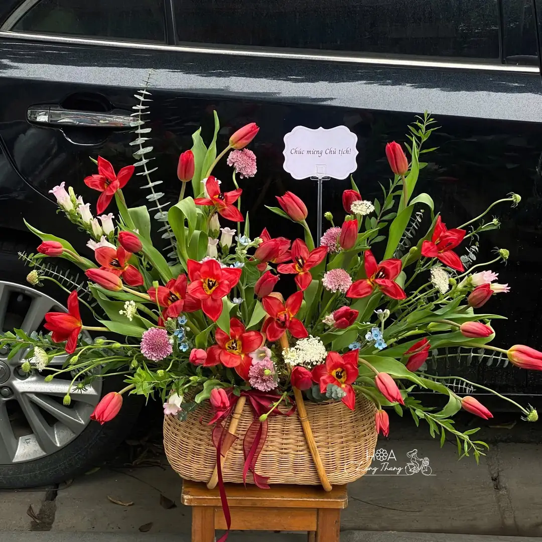 Giỏ mây tulip đỏ mix hoa tông hồng
