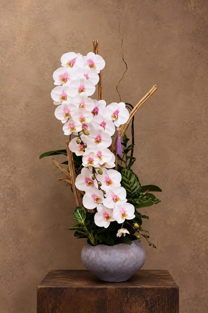 Bình lan hồ điệp trắng thế nghiêng
