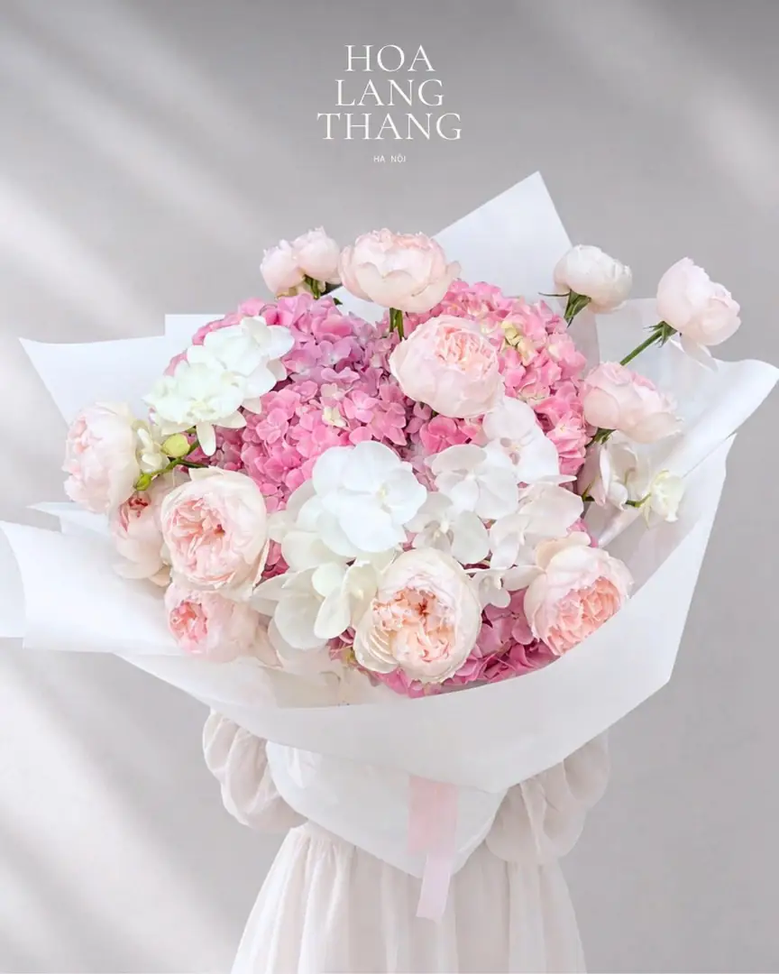 Bó cẩm tú cầu hồng mix hồng cup trắng