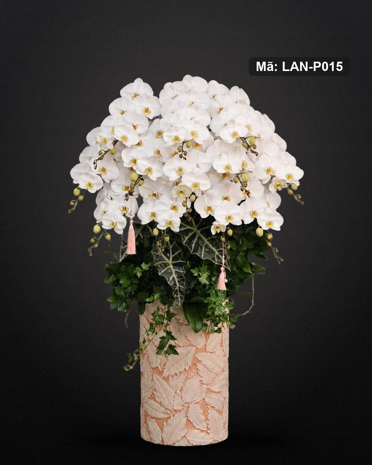 Chậu lan hồ điệp trắng — LAN-P015