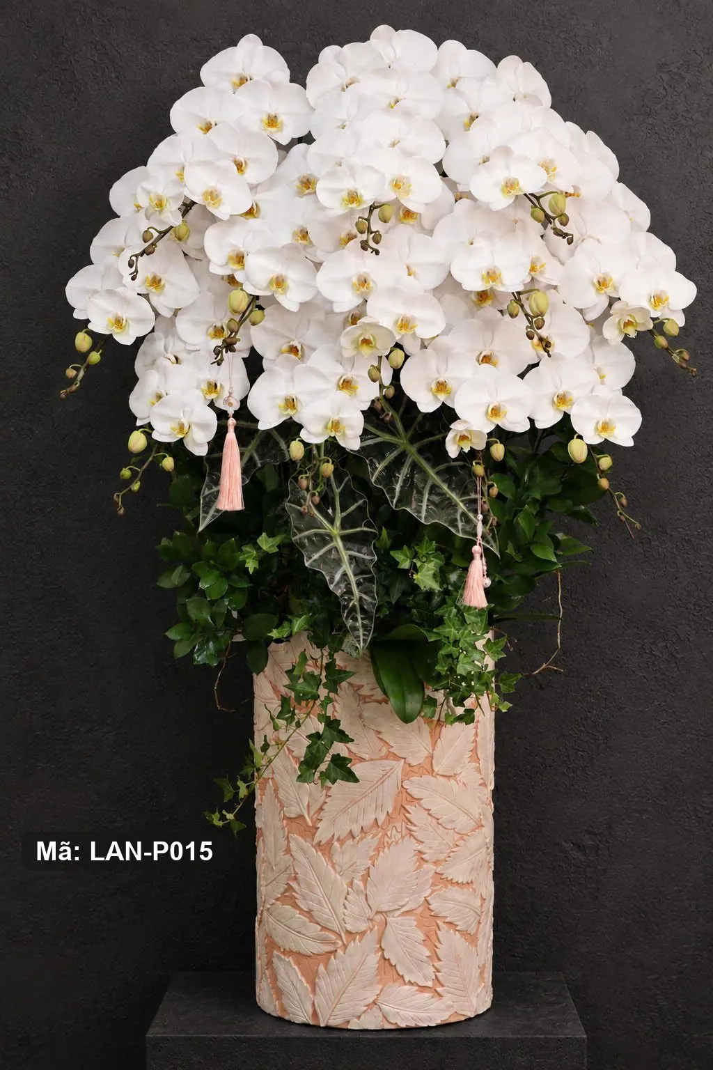 Chậu lan hồ điệp trắng — LAN-P015 — góc khác