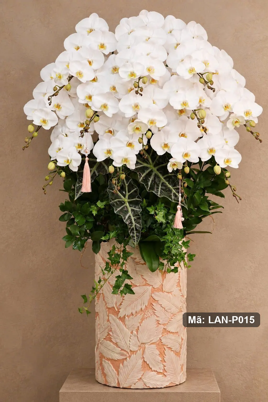 Anggrek Phalaenopsis putih dalam pot — LAN-P015 4