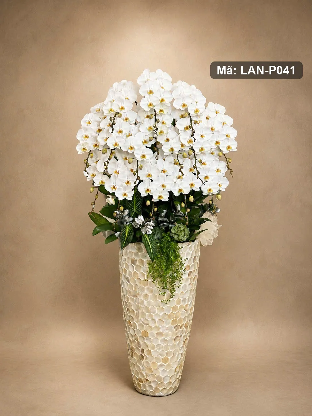 Chậu lan hồ điệp trắng — LAN-P041 — góc khác
