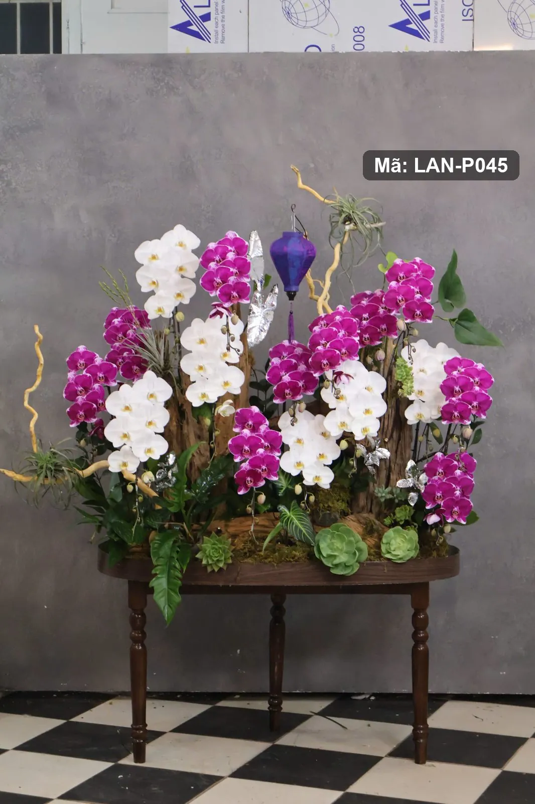 Chậu lan hồ điệp tím và trắng — LAN-P045 — góc khác
