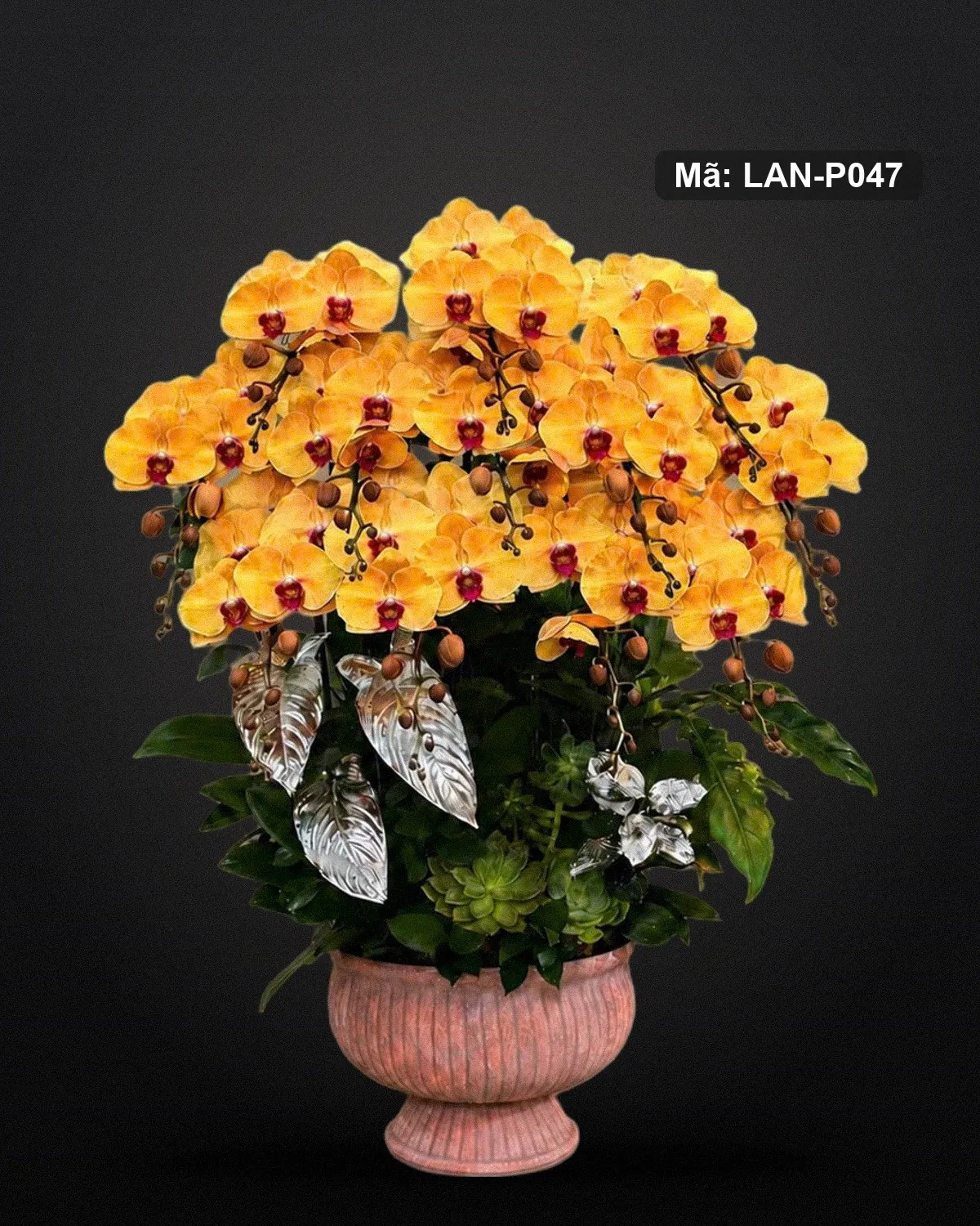 Chậu lan hồ điệp cam — LAN-P047