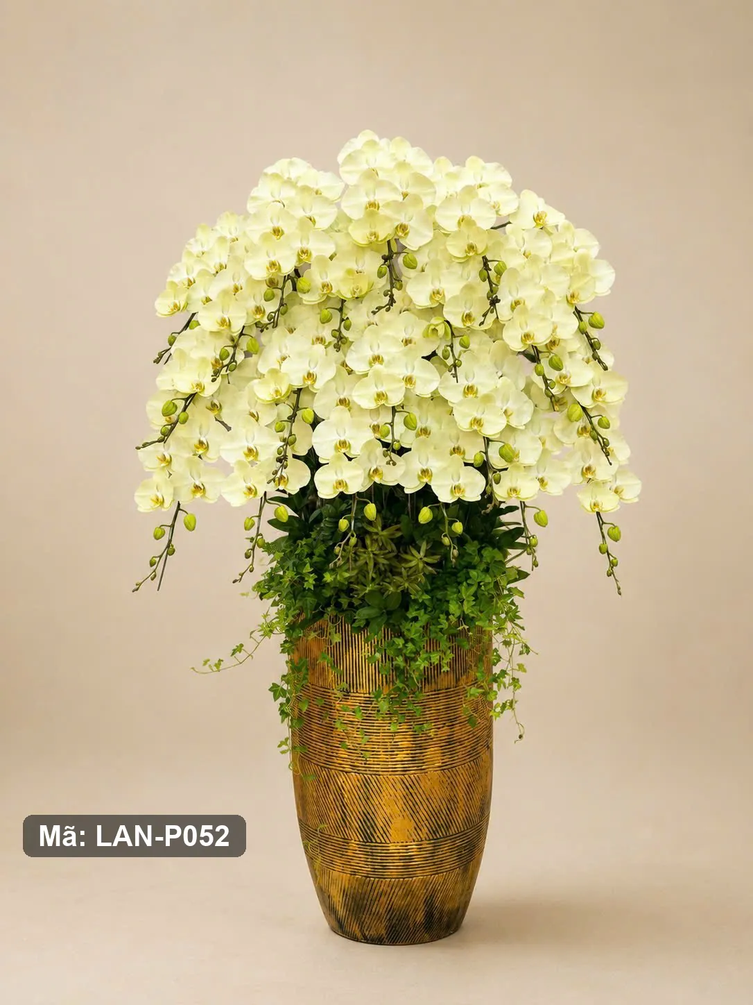 Chậu lan hồ điệp vàng chanh — LAN-P052 — góc khác