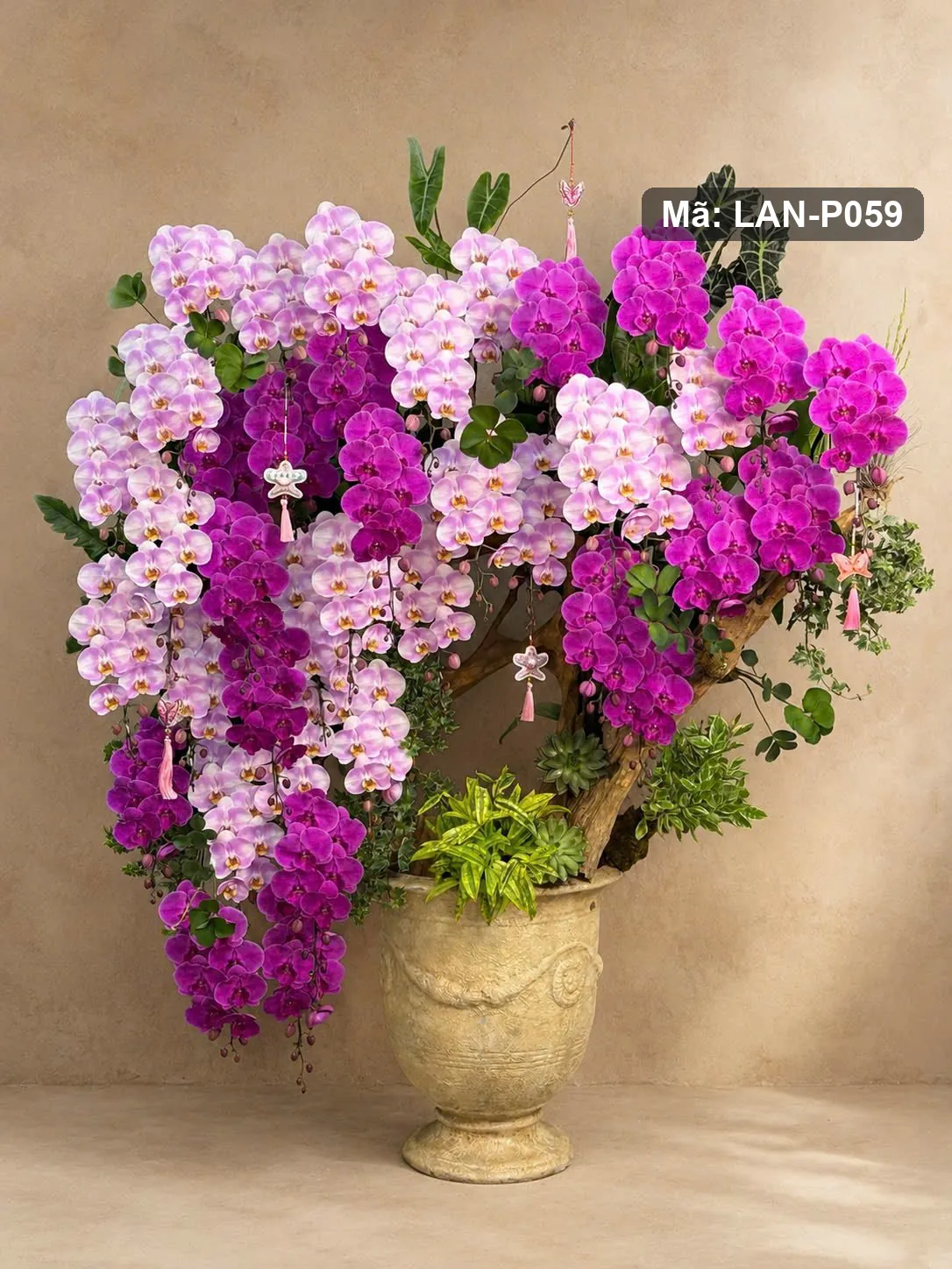 Chậu lan hồ điệp hồng và tím dáng thác — LAN-P059 — góc khác